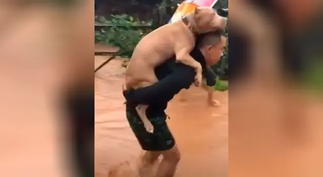 Soldado rescata a un perrito y lo lleva cargado a un lugar seguro