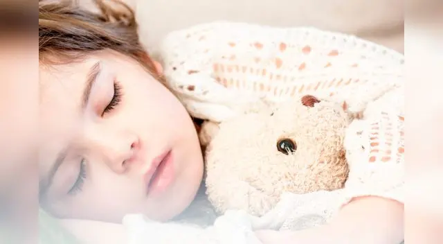 Las investigaciones muestran que se pasa hasta un tercio de la vida durmiendo.