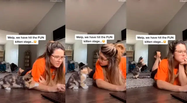 El pequeño gatito haciendo lo imposible para que su dueña deje su laptop. El pequeño gatito haciendo lo imposible para que su dueña deje su laptop.