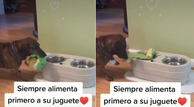 El video se hizo viral en TikTok. El video se hizo viral en TikTok.