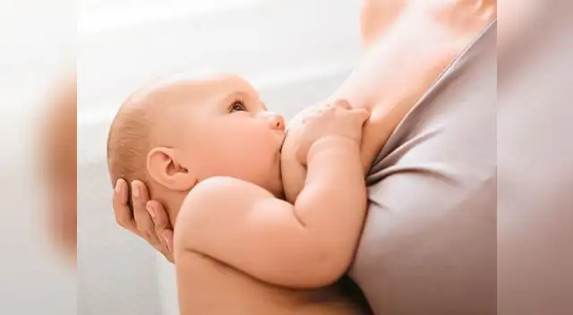 La leche materna es una fuente importante de energía, proteínas, vitaminas, grasas y de nutrientes.