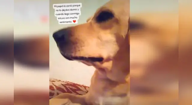 La conmovedora escena se robó el corazón de miles en las redes sociales. La conmovedora escena se robó el corazón de miles en las redes sociales.