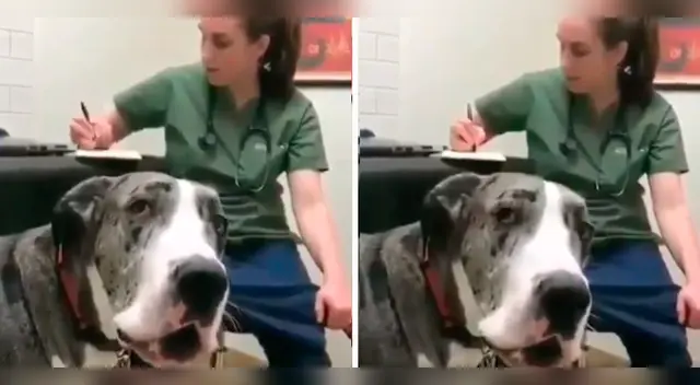 La emotiva escena se ha robado el corazón de miles de usuarios en las redes sociales. La emotiva escena se ha robado el corazón de miles de usuarios en las redes sociales.