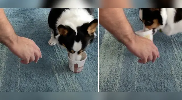 El video no tardó en volverse tendencia en TikTok.