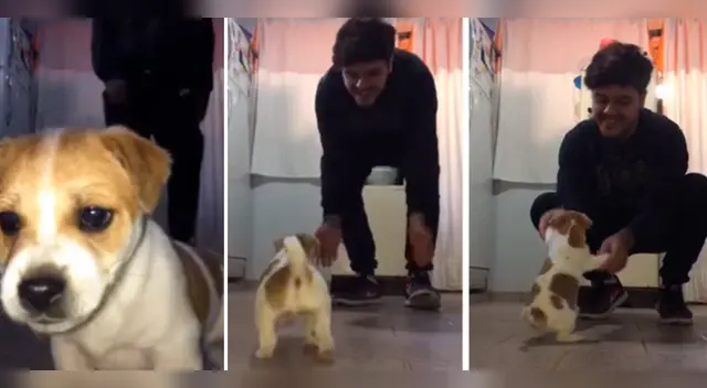 Más de 5 mil reproducciones logró el video viral del joven con su pequeño can.