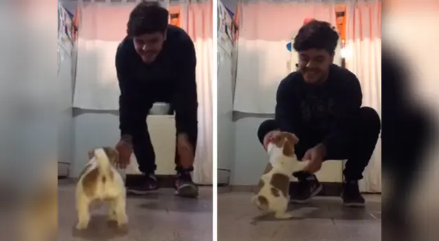 La cómica escena causó la risa de miles de internautas en las redes sociales.