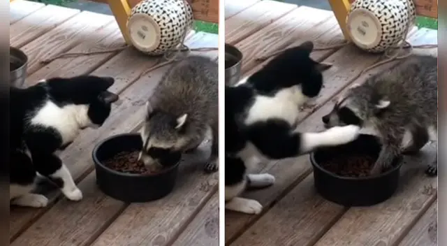 La escena no tardó en volverse en tendencia en diversos países.