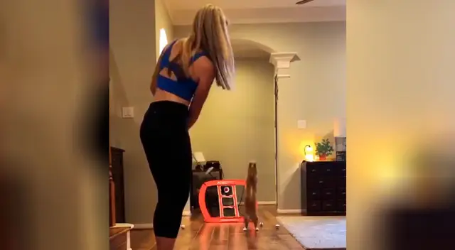 Gato se convierte en todo un “arquero profesional” y causa sensación en redes