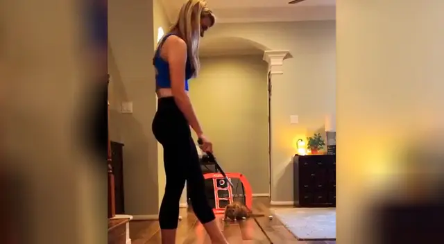 Gato se convierte en todo un “arquero profesional” y causa sensación en redes