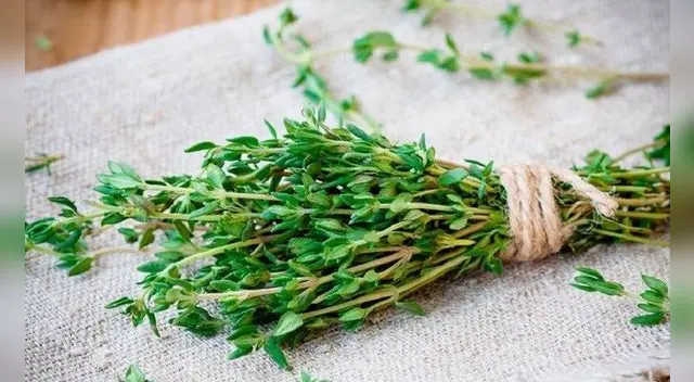 Remedios caseros y naturales para la bronquitis.