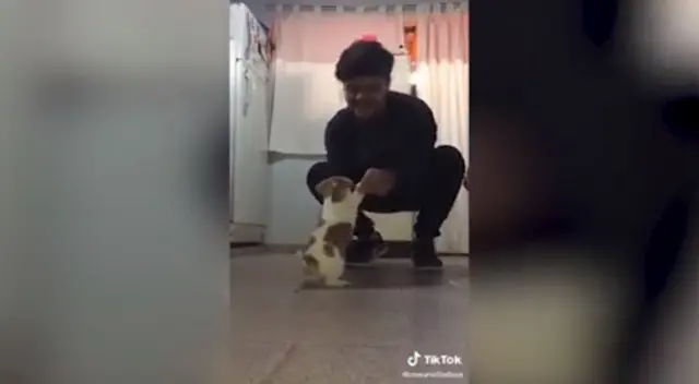 La cómica escena causó la risa de miles de internautas en las redes sociales.