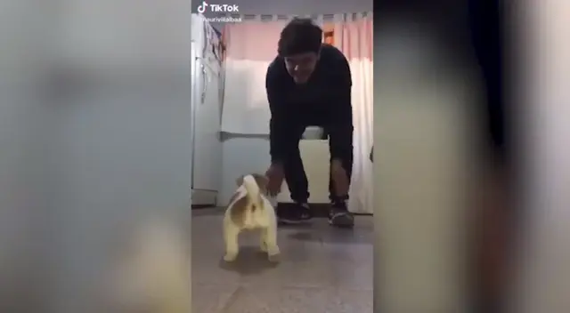 La cómica escena causó la risa de miles de internautas en las redes sociales.