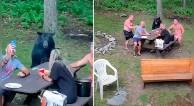 El peculiar episodio dejó a varios internautas sorprendidos con la singular aparición del oso. El peculiar episodio dejó a varios internautas sorprendidos con la singular aparición del oso.