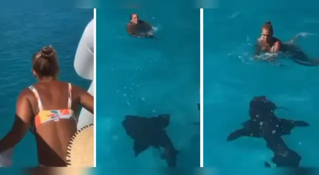 La mujer salió ilesa de un posible ataque del letal tiburón. La mujer salió ilesa de un posible ataque del letal tiburón.