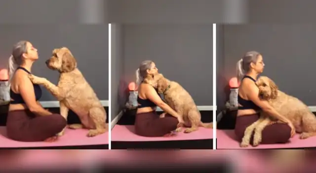 La tierna escena ha tocado los corazones de miles de internautas.