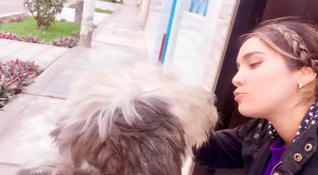 Sufre por su mascota Sufre por su mascota