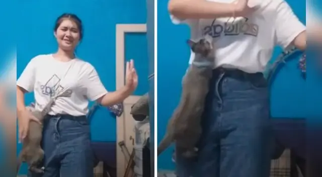 Los usuarios en las redes sociales no pararon de reír con el cómico comportamiento de los gatos en el video compartido en las redes sociales.