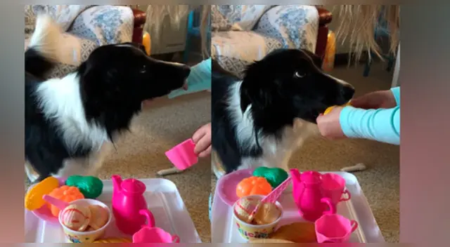 La divertida escena causó sensación en las redes sociales.