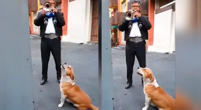 La tierna escena cautivó a los usuarios en las redes sociales. La tierna escena cautivó a los usuarios en las redes sociales.