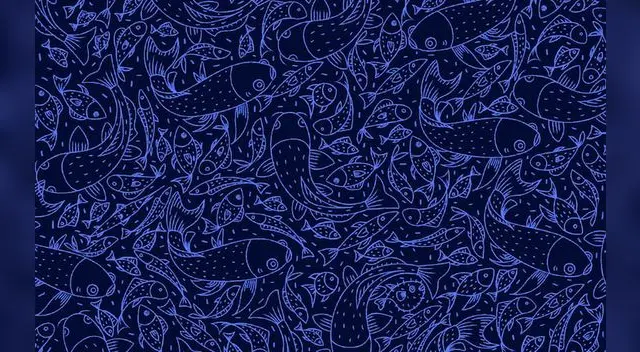 Reto visual: encuentra al pez espada y al pez globo en el mar