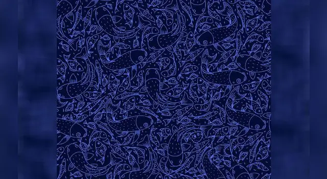 Reto visual: encuentra al pez espada y al pez globo en el mar