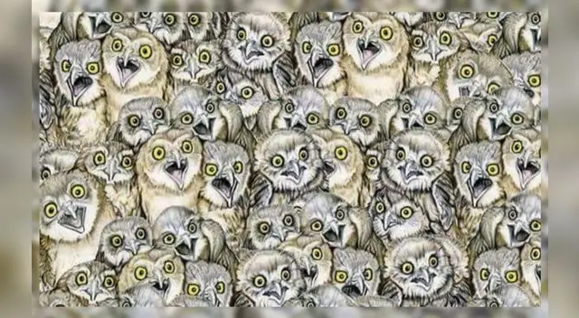 Desliza para ver la respuesta del reto visual de Facebook.