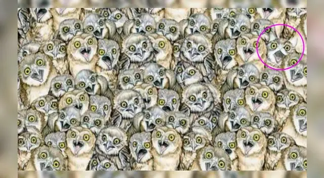 Desliza para ver la respuesta del reto visual de Facebook.