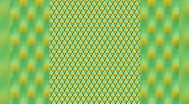 Encuentra a las paltas que no tienen semilla.