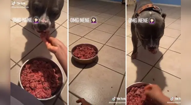 Mira aquí el divertido video viral de TikTok. Mira aquí el divertido video viral de TikTok.