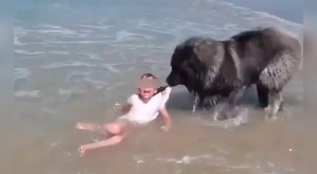 El clip cuenta con miles de reproducciones en TikTok.