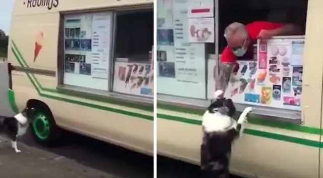 Perro espera con gran emoción la llegada del heladero para recibir su regalo Perro espera con gran emoción la llegada del heladero para recibir su regalo