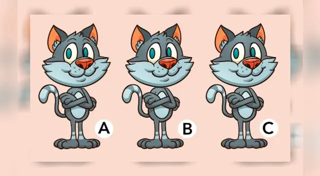 ¿Puedes encontrar qué gato es diferente en esta imagen?, tienes 10 segundos. ¿Puedes encontrar qué gato es diferente en esta imagen?, tienes 10 segundos.