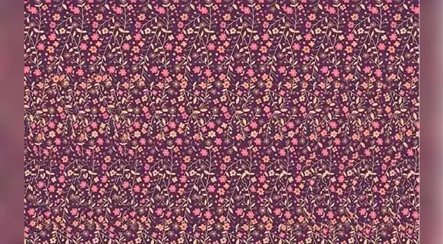 Ilusión Óptica de Twitter: ¿puedes encontrar la mariposa 3D?