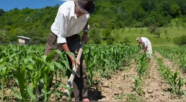Bono rural Bono rural