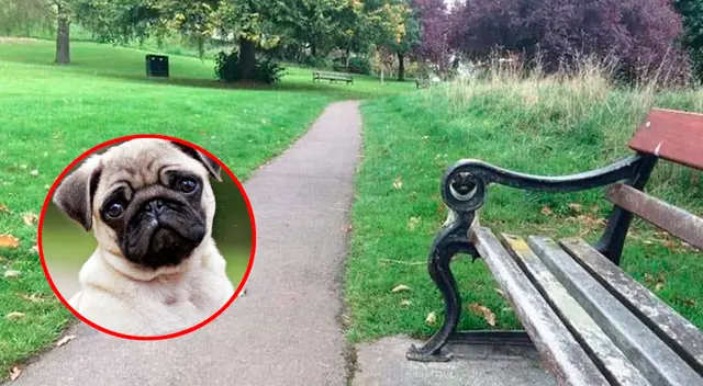 El nuevo reto visual que muy pocos pueden resolverlo. El nuevo reto visual que muy pocos pueden resolverlo.