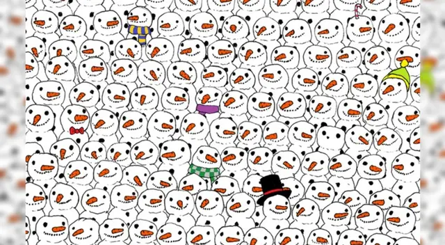 Resulte el divertido reto visual del oso panda.