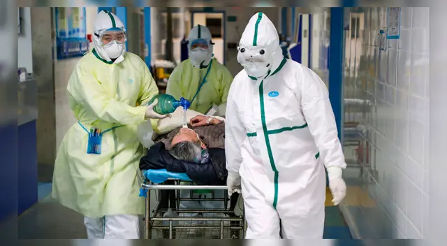 La investigación sobre el coronavirus se llevó a cabo en la Universidad Northwestern (Estados Unidos) junto a la colaboración del doctor Baofu Qiao. La investigación sobre el coronavirus se llevó a cabo en la Universidad Northwestern (Estados Unidos) junto a la colaboración del doctor Baofu Qiao.