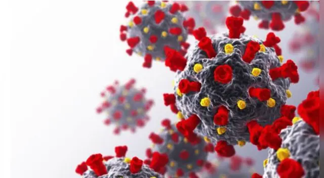 La investigación sobre el coronavirus se llevó a cabo en la Universidad Northwestern (Estados Unidos) junto a la colaboración del doctor Baofu Qiao. La investigación sobre el coronavirus se llevó a cabo en la Universidad Northwestern (Estados Unidos) junto a la colaboración del doctor Baofu Qiao.