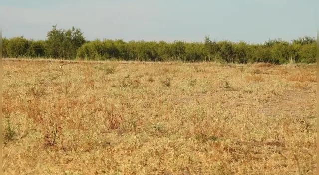 El nuevo desafío viral de Facebook ha logrado miles de reacciones, comentarios y compartidos. El nuevo desafío viral de Facebook ha logrado miles de reacciones, comentarios y compartidos.