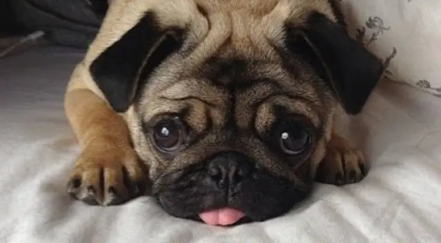 El nuevo reto visual que muy pocos pueden resolverlo. El nuevo reto visual que muy pocos pueden resolverlo.