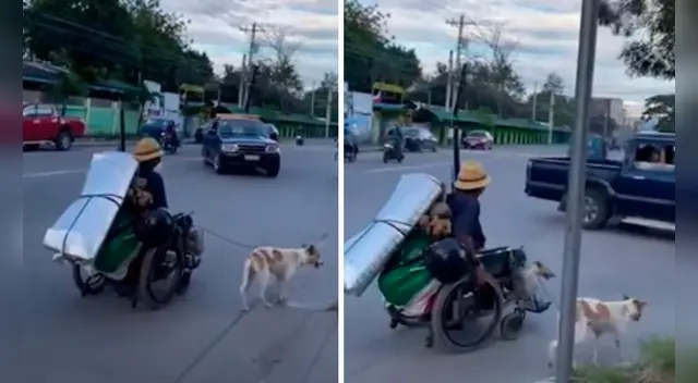 La tierna escena cautivó a los usuarios en las redes sociales.
