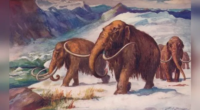 La Prehistoria abarca la vida del hombre primitivo.