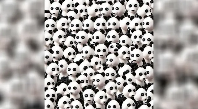 ¿Puedes encontrar al perro entre los osos pandas? ¿Puedes encontrar al perro entre los osos pandas?