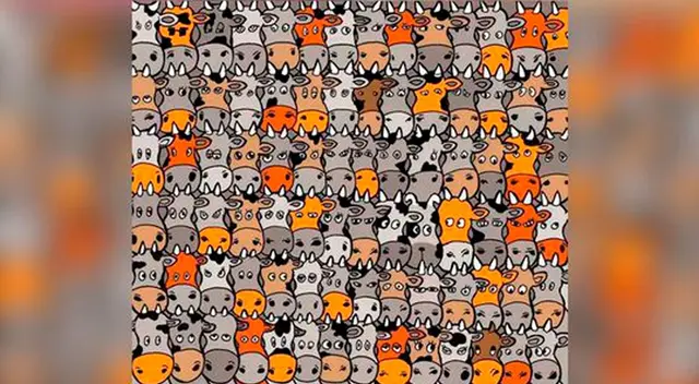 Encuentra al perro entre las vacas. Encuentra al perro entre las vacas.