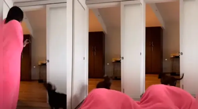 El clip cuenta con miles de reproducciones en TikTok.