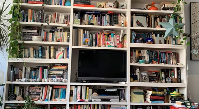 Solo tienes 10 segundos para encontrar al gato oculto