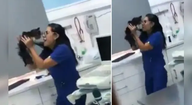 La divertida escena causó la risa de miles de usuarios redes sociales. La divertida escena causó la risa de miles de usuarios redes sociales.