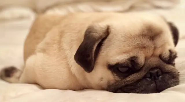 Trata de resolver el reto visual. Trata de resolver el reto visual.