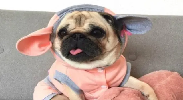 El nuevo reto visual que muy pocos pueden resolverlo El nuevo reto visual que muy pocos pueden resolverlo