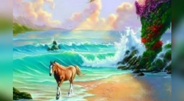 Pocos usuarios en las redes sociales han logrado resolverlo. Pocos usuarios en las redes sociales han logrado resolverlo.